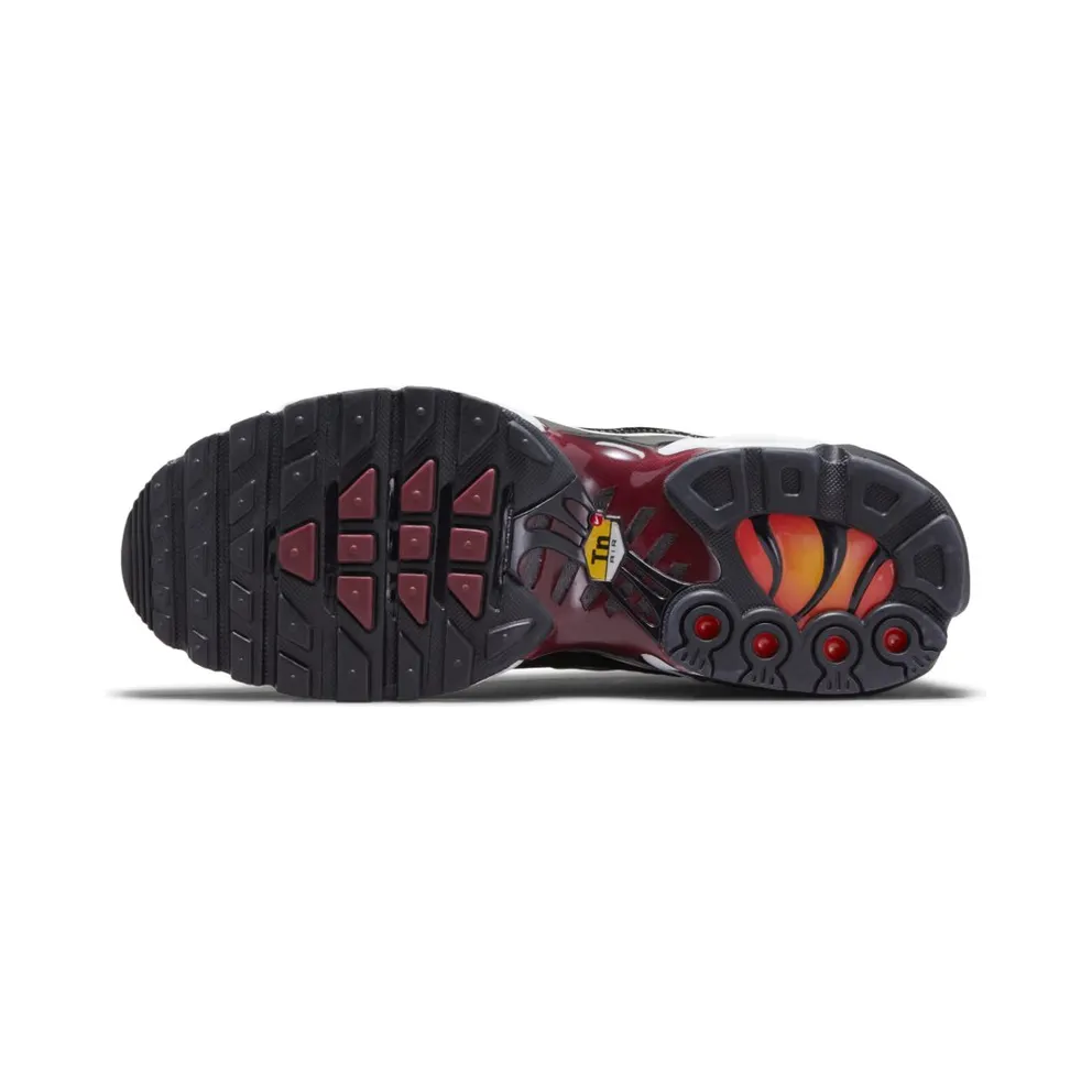 Nike Air Max Plus Sisterhood (W) (DO6115-500)