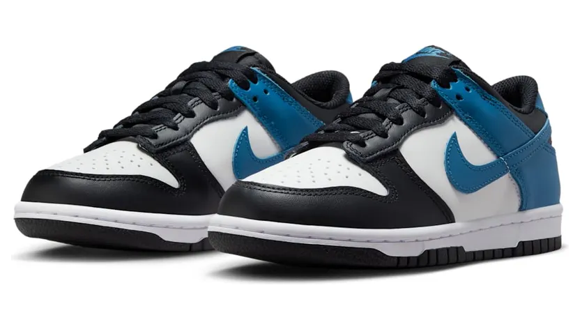 nike-dunk DH9765-104