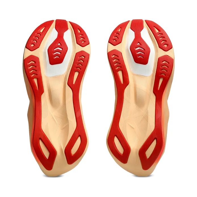 asics-novablast 1012C008-102