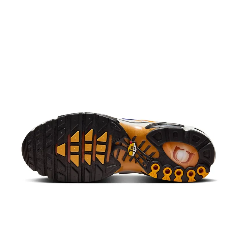 Nike Air Max Plus One Block Down Chutney (FZ3308-700)
