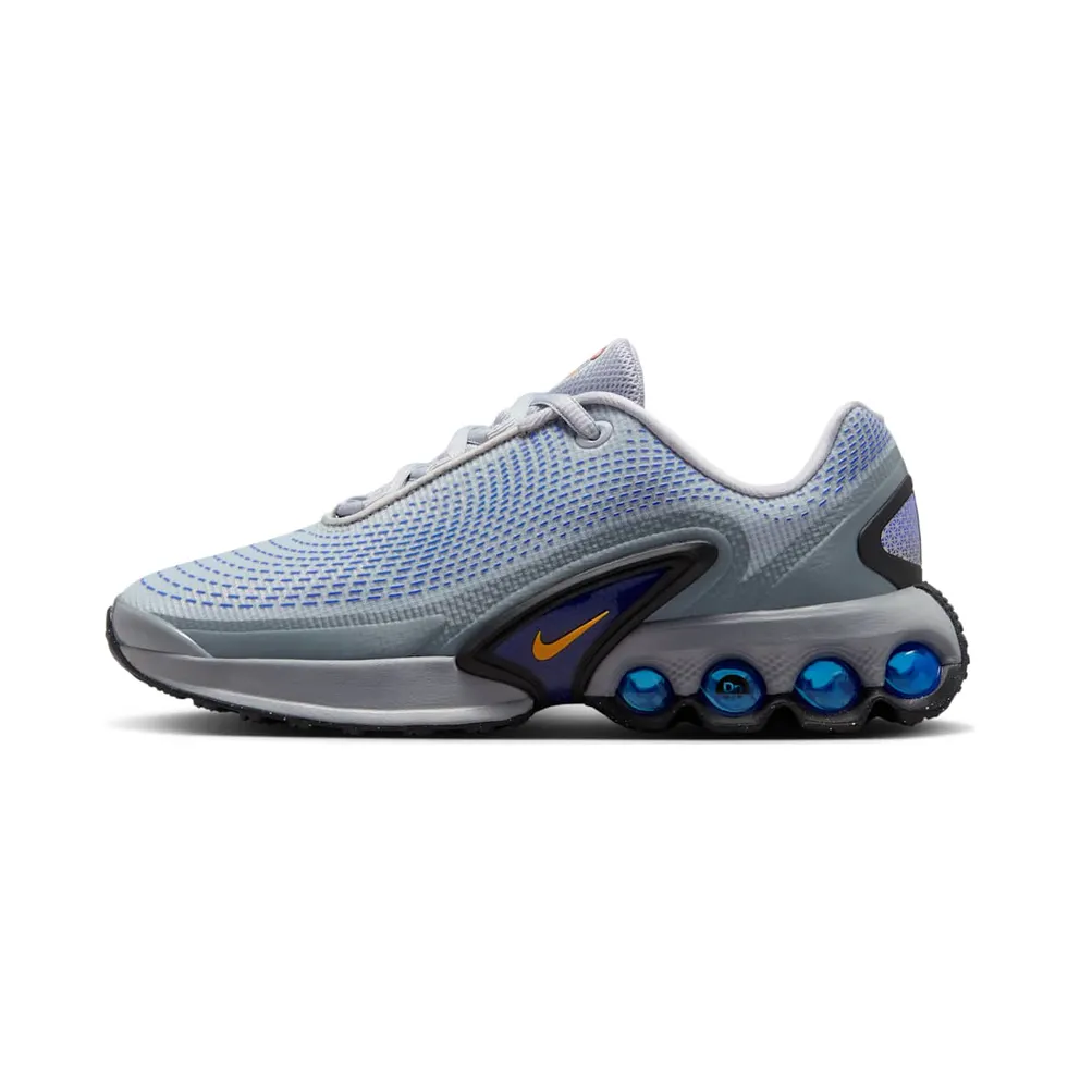 Nike Air Max Dn Wolf Grey Hyper Royal Metallic Silver Bright Ceramic (FB8987-013)