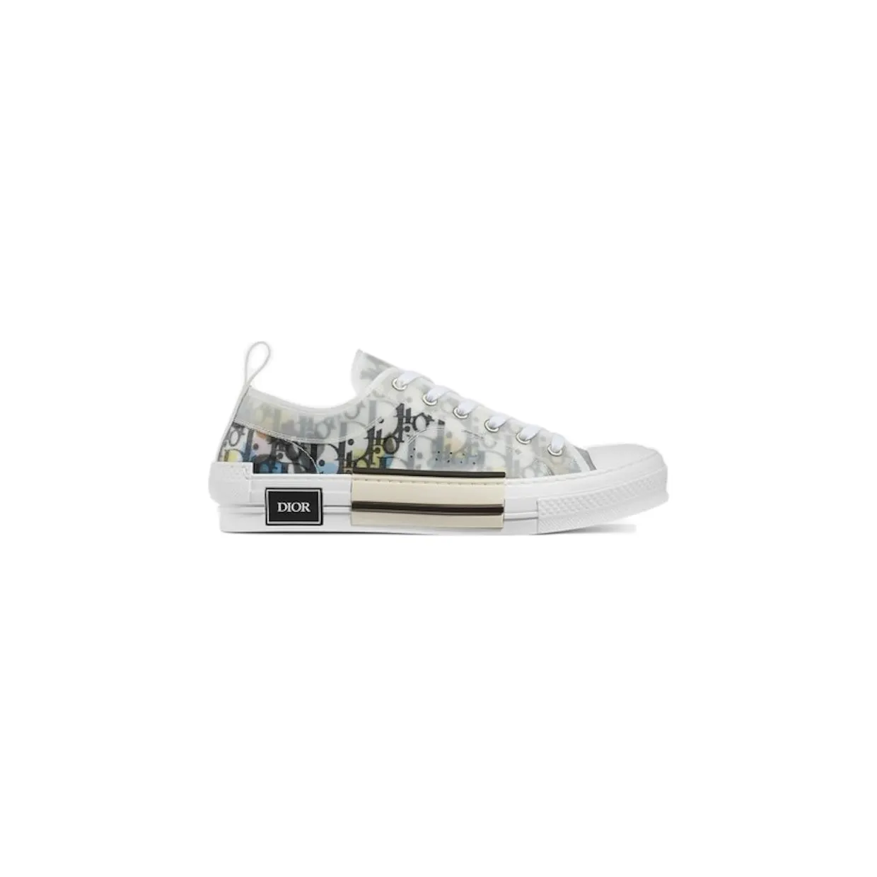 Dior B23 Low Top Alex Foxton Oblique