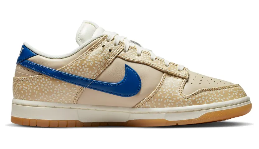 nike-dunk DZ4853-200