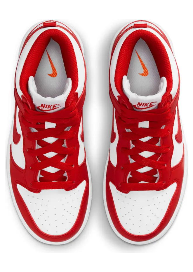 nike-dunk DD2314-106