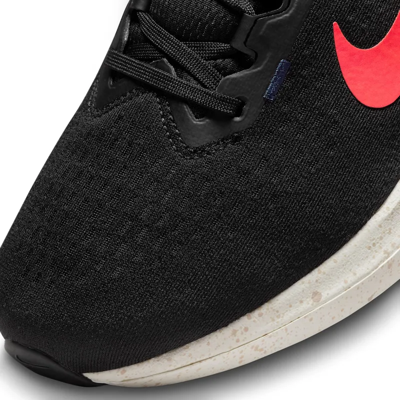 Nike Winflo 10 Black (DV4022-002)