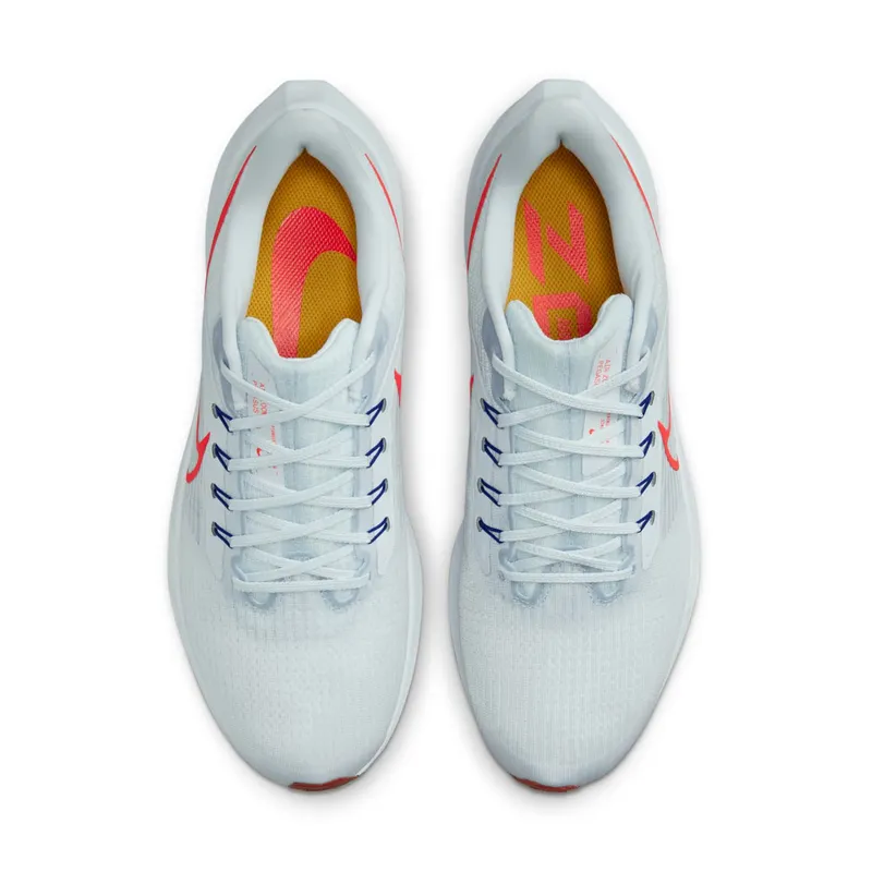 Nike Pegasus 39 “Grey” (DH4071-007)
