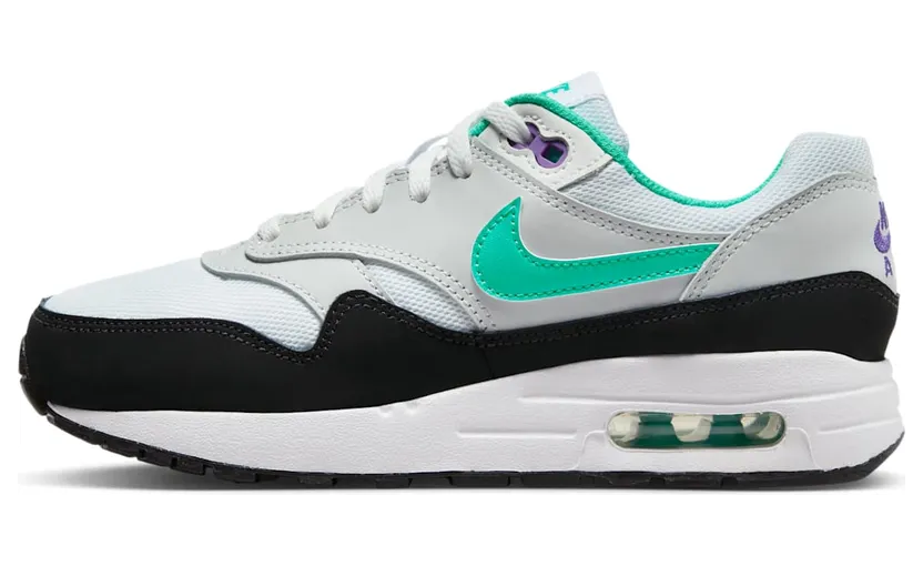 Nike Air Max 1 DZ3307-114