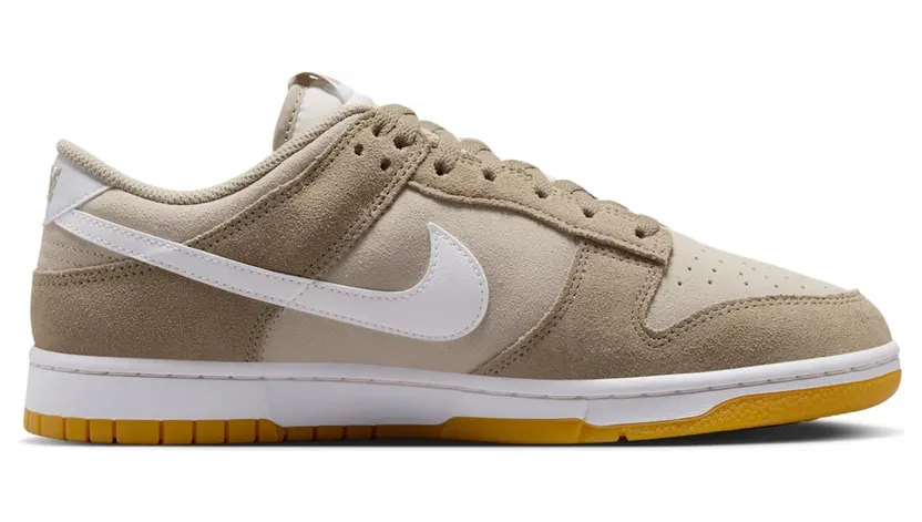 nike-dunk HQ1931-100