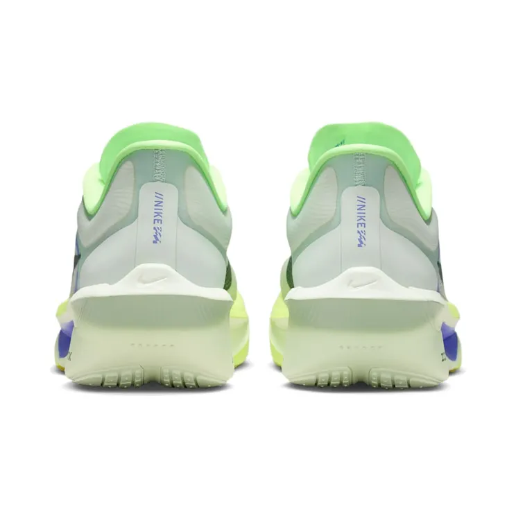 nike-zoom FN8454-300