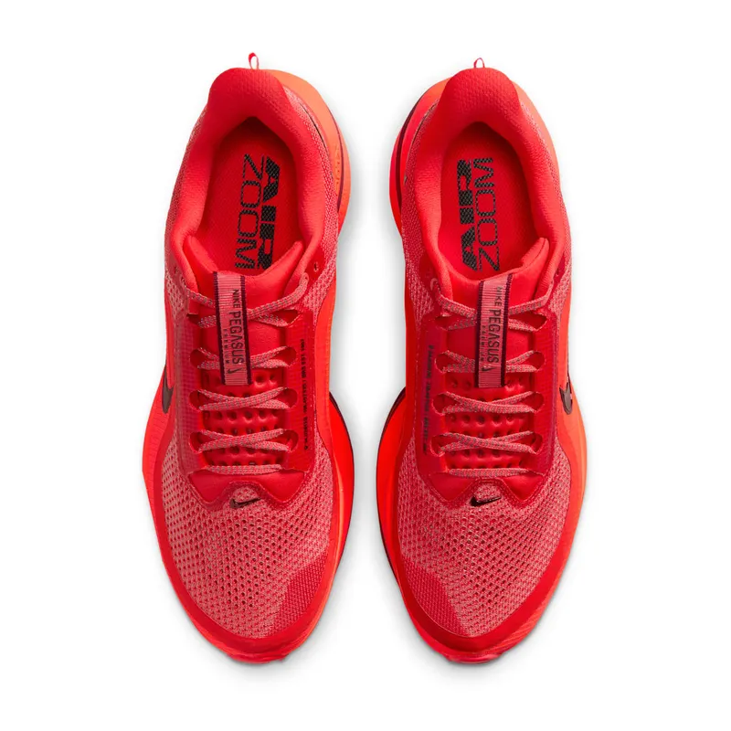 Nike Pegasus Premium “Light Crimson” (HQ2592-601)