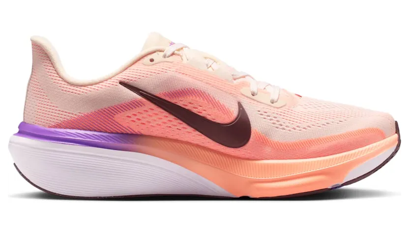 nike-air-pegasus IB1881-113