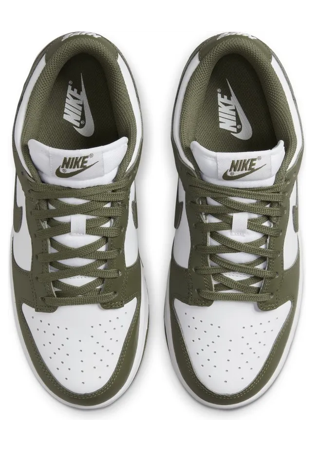 nike-dunk DD1503-120