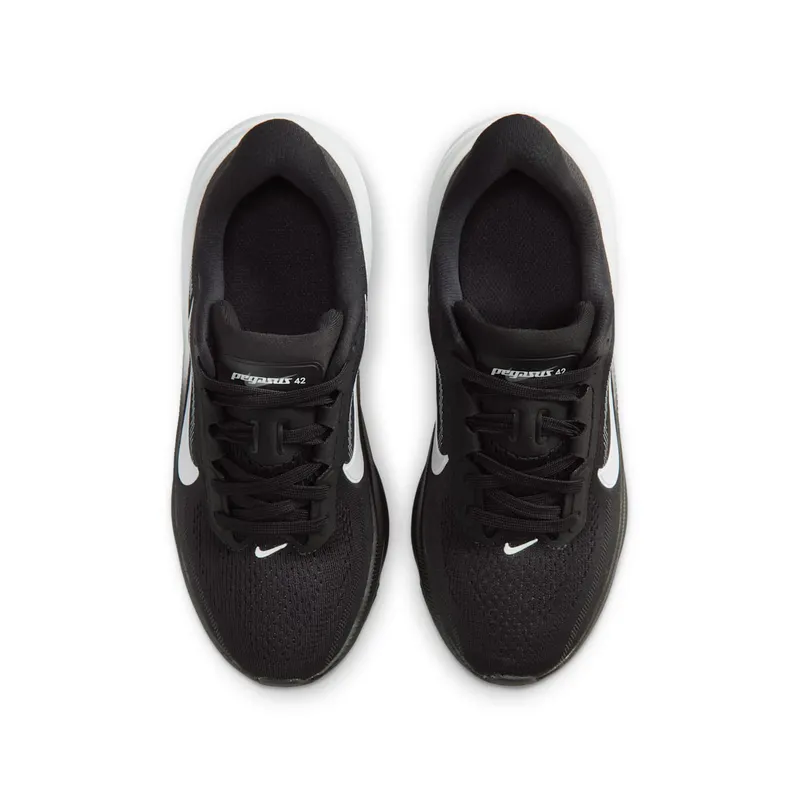 Nike Pegasus Black/Photon Dust/White (IH2306-002)