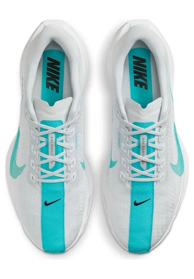 nike-air-pegasus FQ7262-004