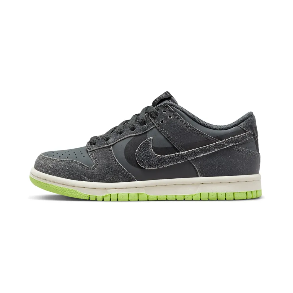 Nike Dunk Low SE Grau (DQ6215-001)