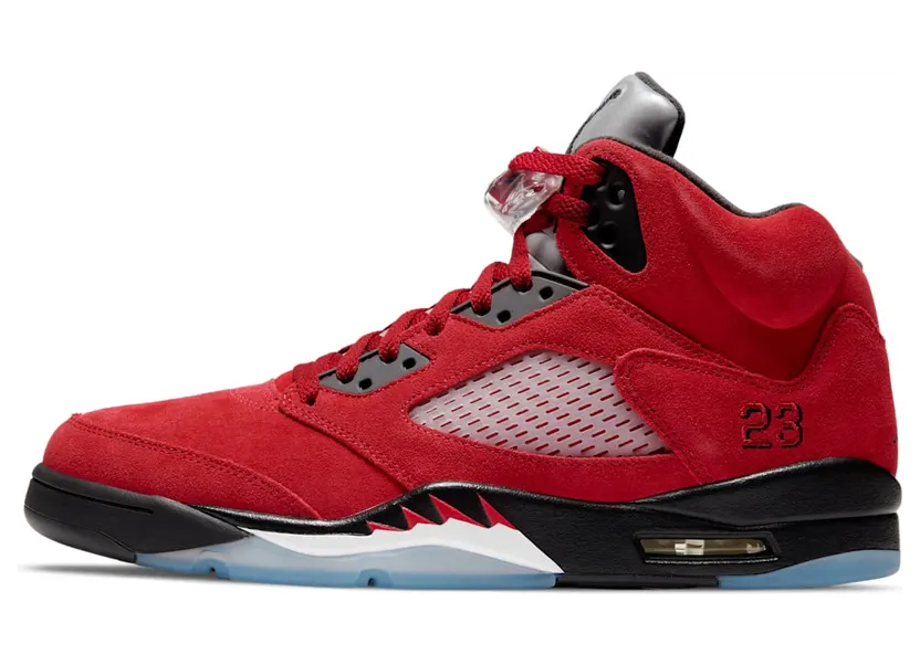 Air Jordan 5 DD0587-600
