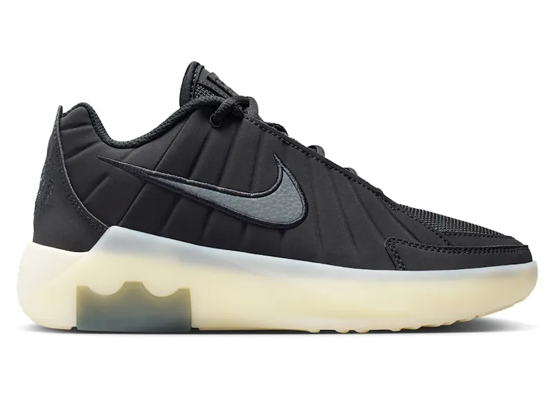 Nike LeBron Witness 9 Black Coconut Milk Iron Grey (HV2270-001)