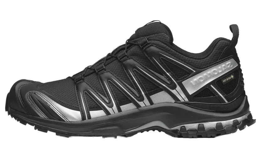 Salomon XA Pro 3D Gore-Tex “Black Silver” (L49214-300)