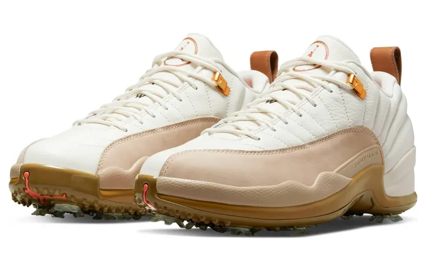 air-jordan-12 DM9016-109