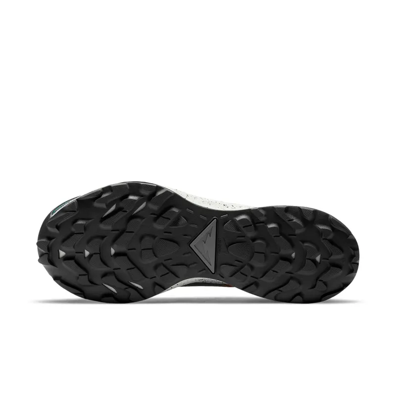 Nike Pegasus Trail 2 GORE-TEX Trail Running Black (DH0202-001)