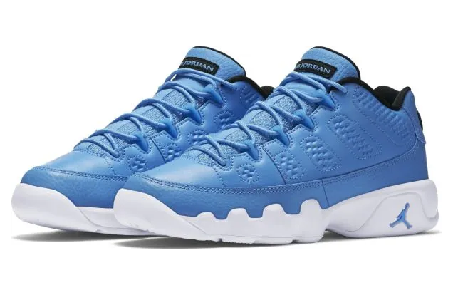 air-jordan-9 833447-401