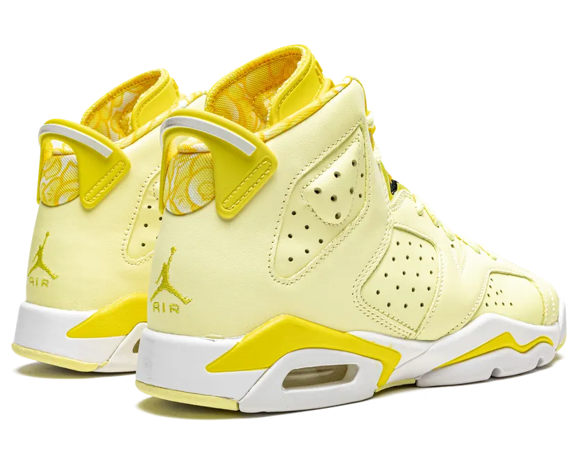 air-jordan-6 543390-800