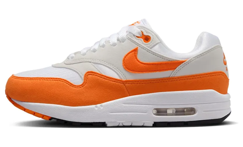 Nike Air Max 1 DZ2628-002