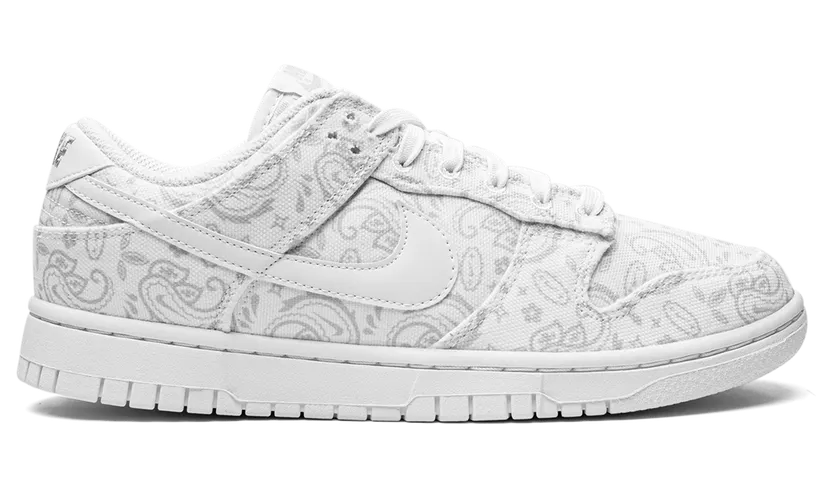 nike-dunk DJ9955-100