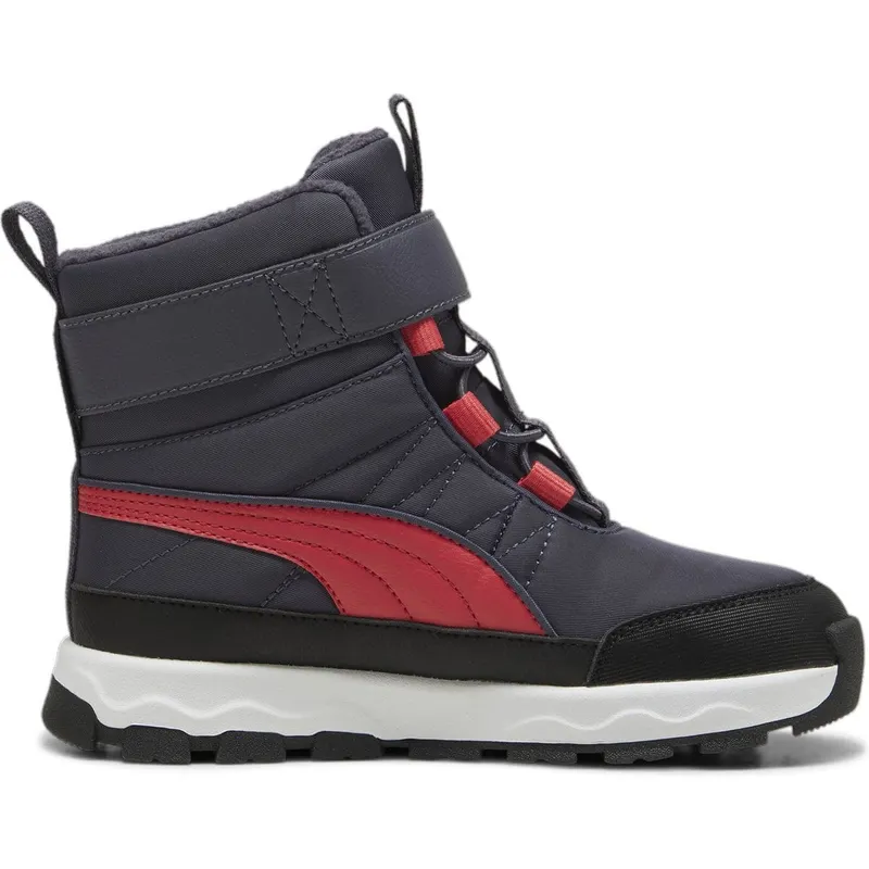 Puma (392649)