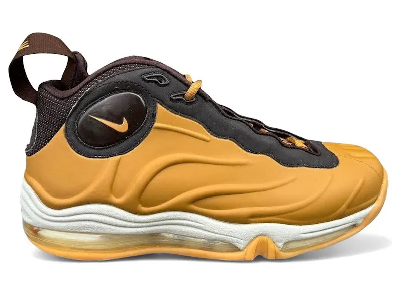 nike-air-foamposite 307717-721