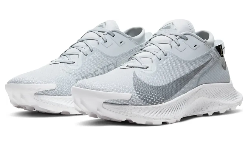 nike-air-pegasus DC1933-100