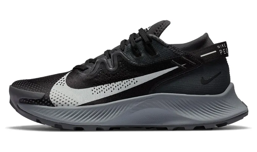 nike-air-pegasus CK4309-002