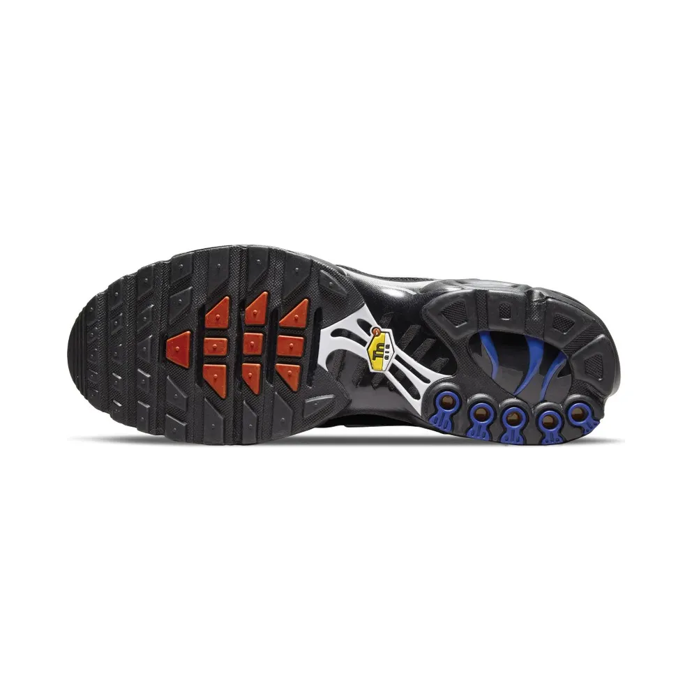 Nike TN Air Max Plus France (DV3194-001)