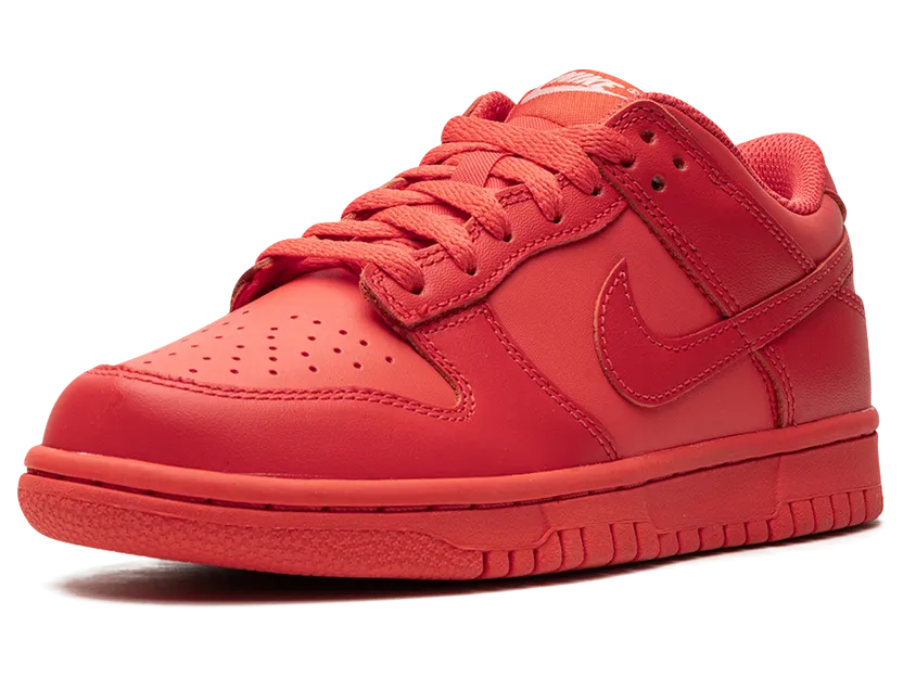 nike-dunk DH9765-601