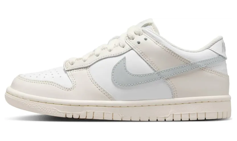 Nike Dunk Low FB9109-109