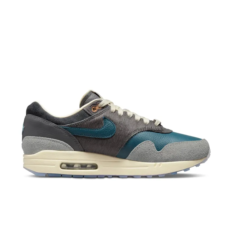 Nike Air Max 1 x Kasina Won Ang Grey (DQ8475-001)