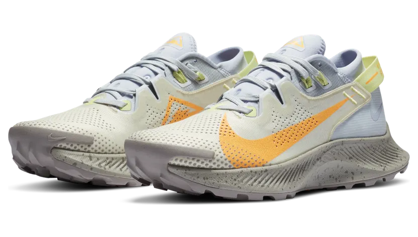 nike-air-pegasus CK4309-001