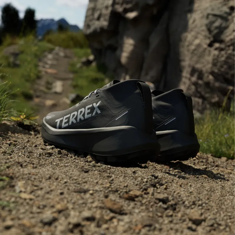 Adidas Terrex Agravic GTX Trail Running Core Black / Silver Dawn / Grey Two (IH5358)
