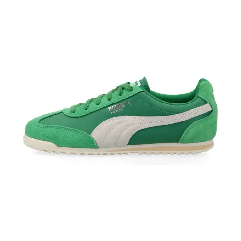 puma-arizona 398682_03