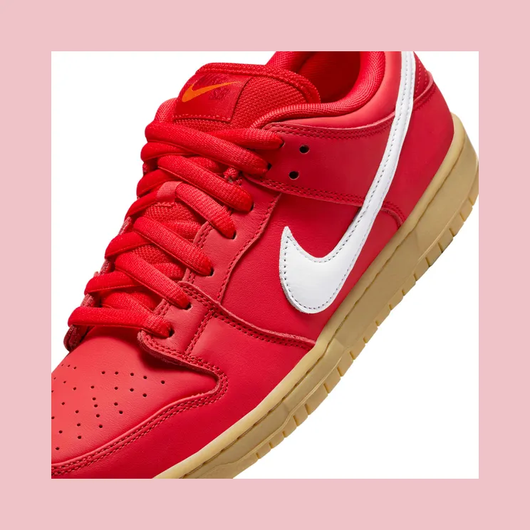 nike-dunk-sb FJ1674-600