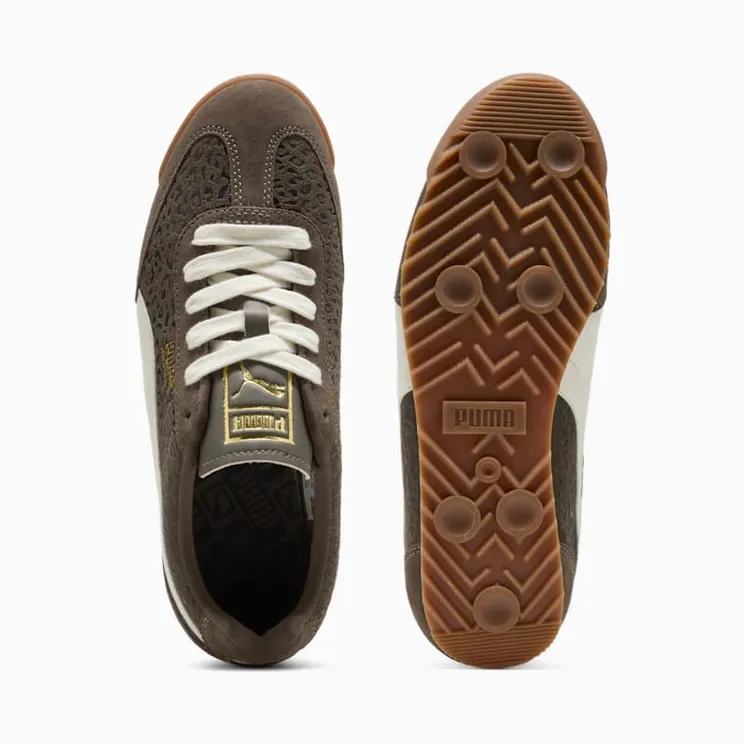 puma-arizona 40899801