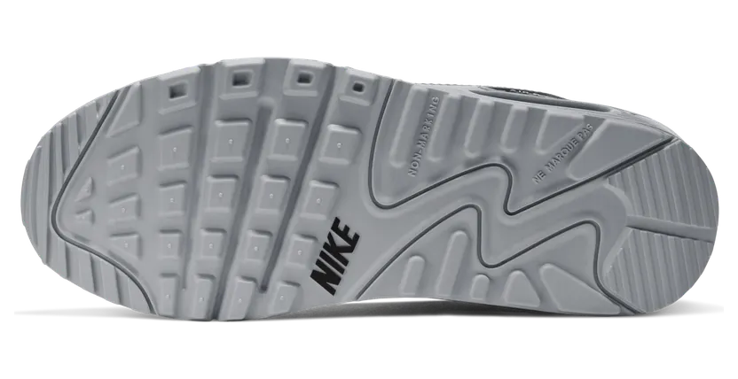 Nike Air Max 90 LTR Grijs (CD6864-006)
