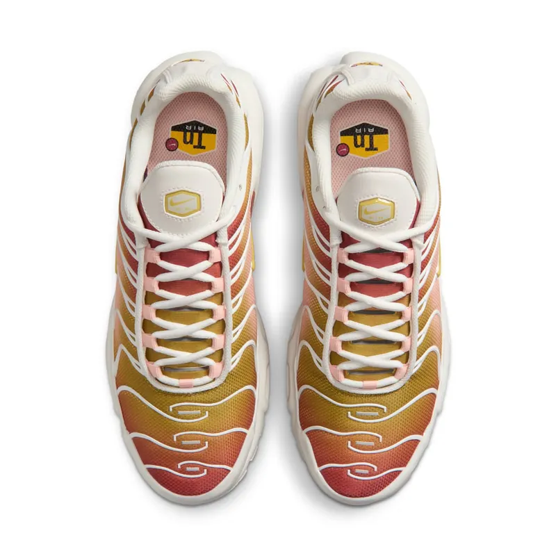 Nike Air Max Plus Grey (DZ3670-007)