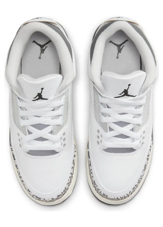 air-jordan-3 DX6665-100