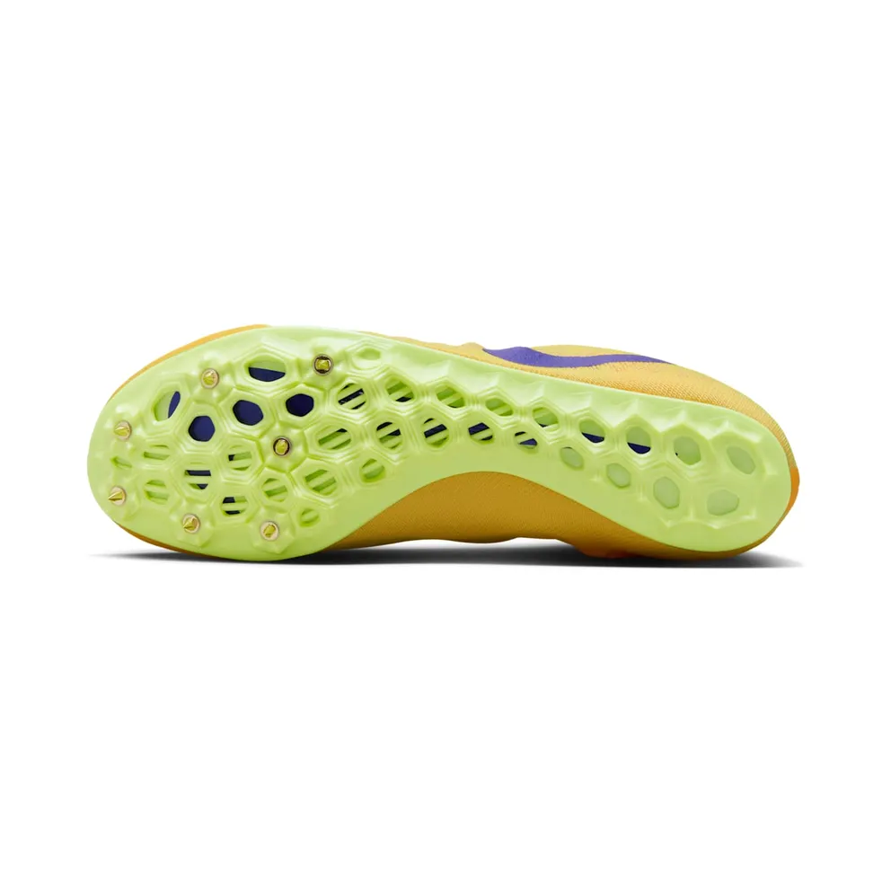 Nike Zoom Ja Fly 4 Citron Pulse Indigo Burst (DR2741-800)