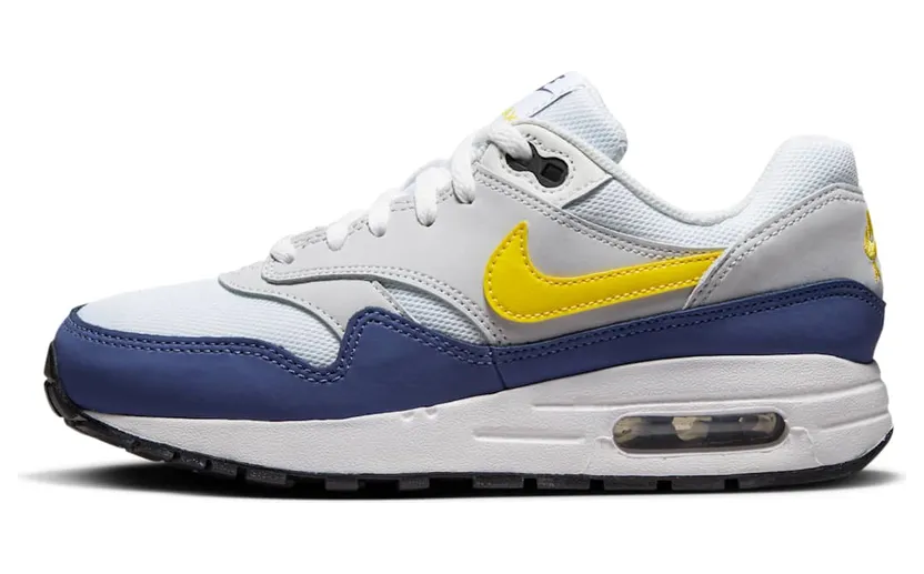 Nike Air Max 1 DZ3307-107