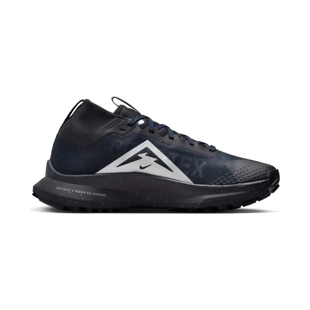Nike Pegasus Trail 4 Gore-Tex Dark Obsidian Metallic Silver (FZ4343-400)