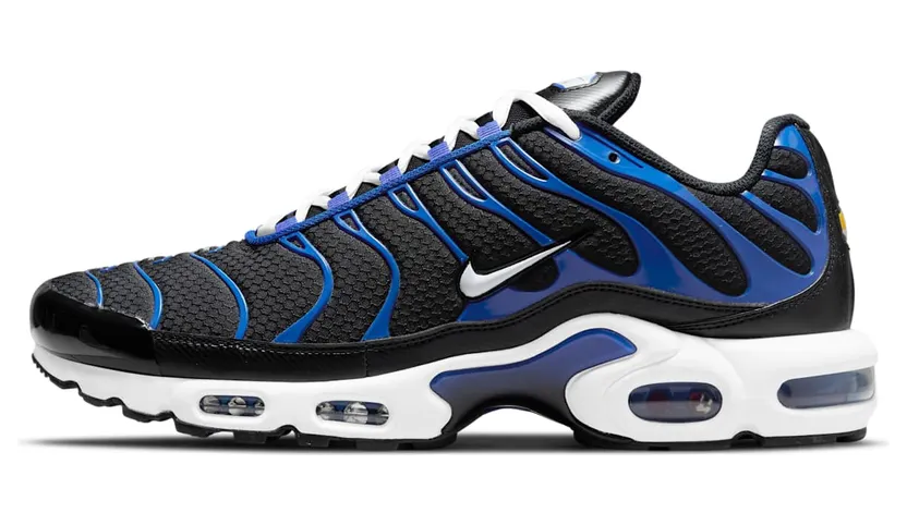 Nike Air Max Plus Zwart (DM8331-001)