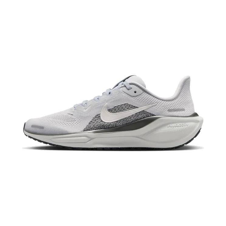 Nike Pegasus “Pure Platinum / Anthracite / Light Silver / Sail” (FN5041-006)