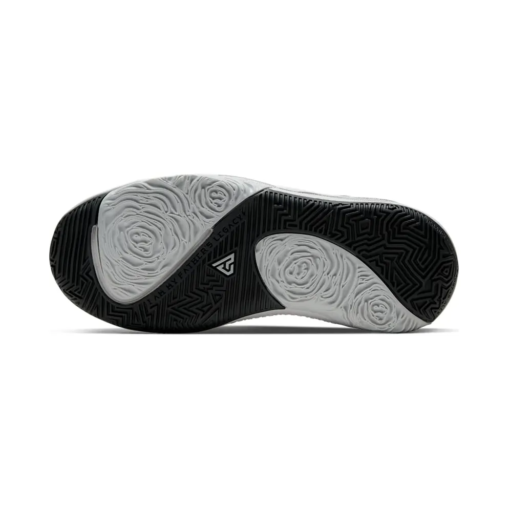 Nike Zoom Freak 1 Smoke Grey (GS) Smoke Grey/Metallic Silver-Metallic Gold (BQ5633-050)